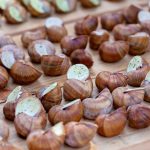 Close-up of French escargots stuffed with herb butter, ready to serve.