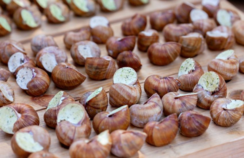 Close-up of French escargots stuffed with herb butter, ready to serve.