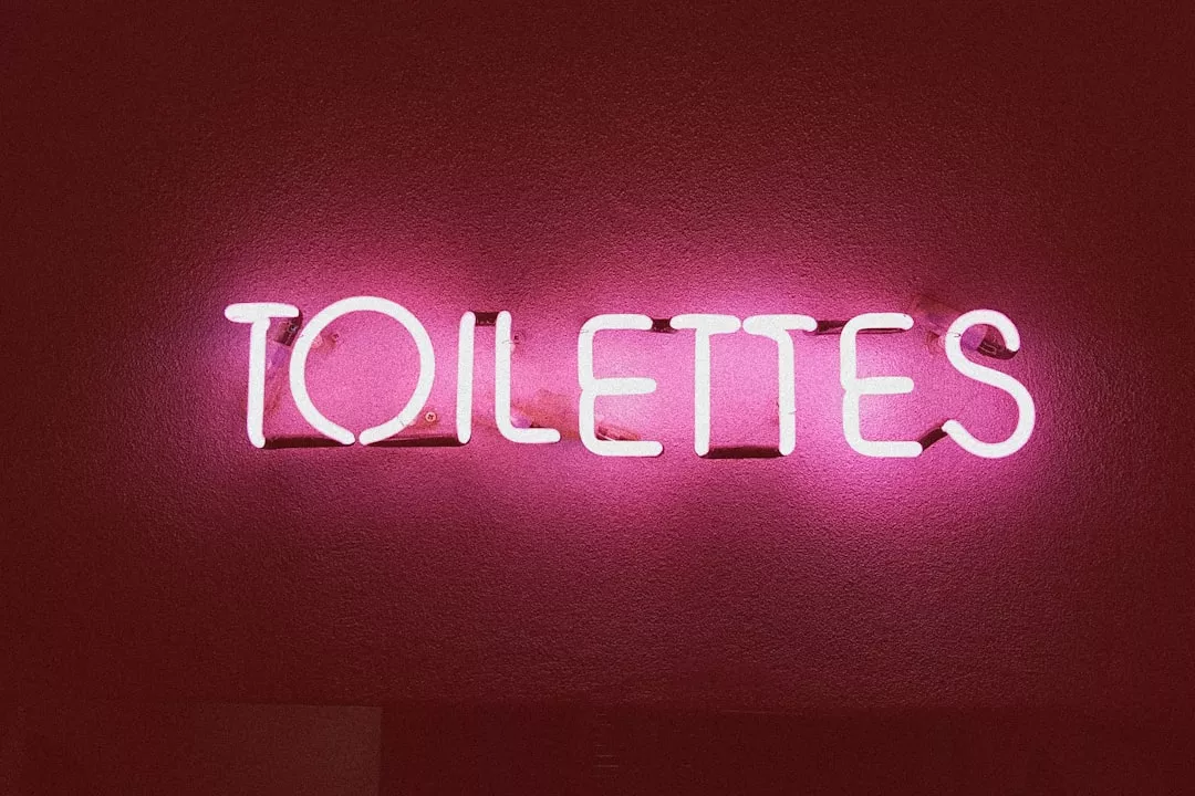 Serpent dans les toilettes : que faire et comment l&rsquo;identifier
